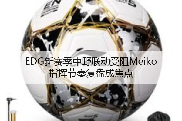 EDG新赛季中野联动受阻Meiko指挥节奏复盘成焦点